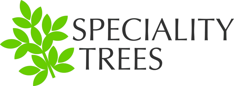 speciality trees logo